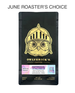 Front of Black Coffee Bag with Owl Design named Artisanal Intelligence