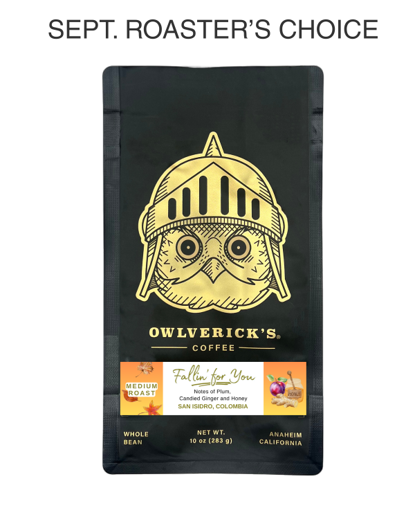 Front of Fallin for You coffee bag with owl design